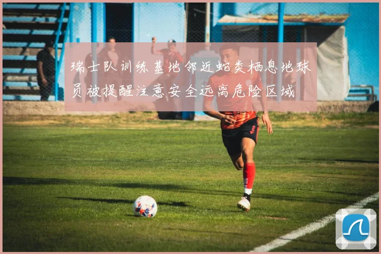 瑞士队训练基地邻近蛇类栖息地球员被提醒注意安全远离危险区域
